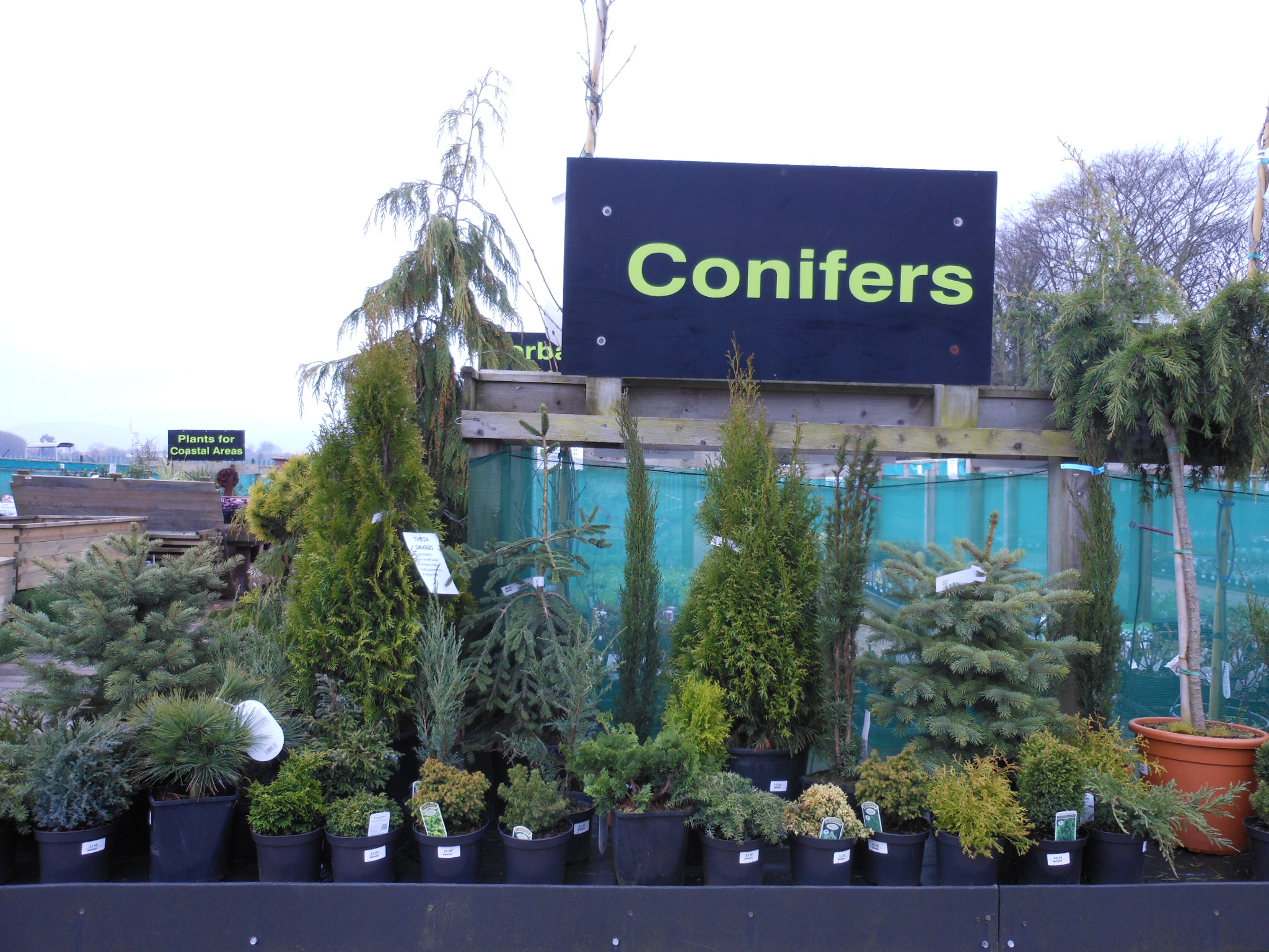 Plants Cherry Hill Garden Landscape Centre