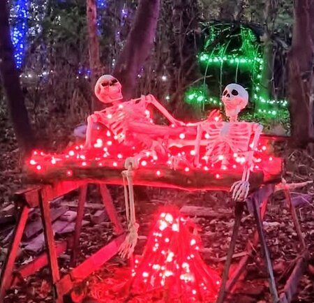 Family Friendly Haunted Forest Trail
