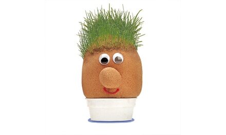 GRASS HEADS