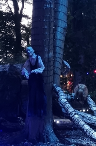Horror Nights Haunted Forest Trail