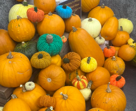Pumpkin Crochet Workshop 2025
